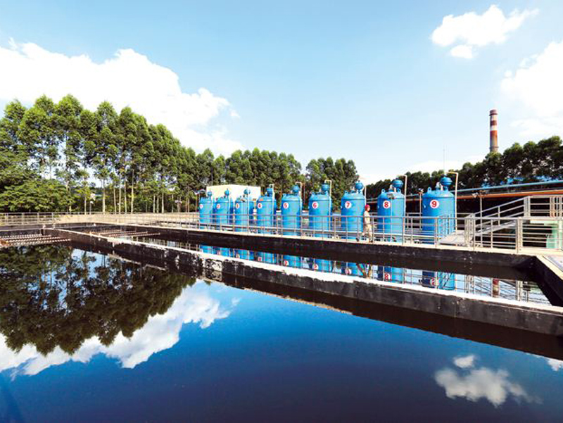 Case Study: Coking Plant Wastewater Treatment